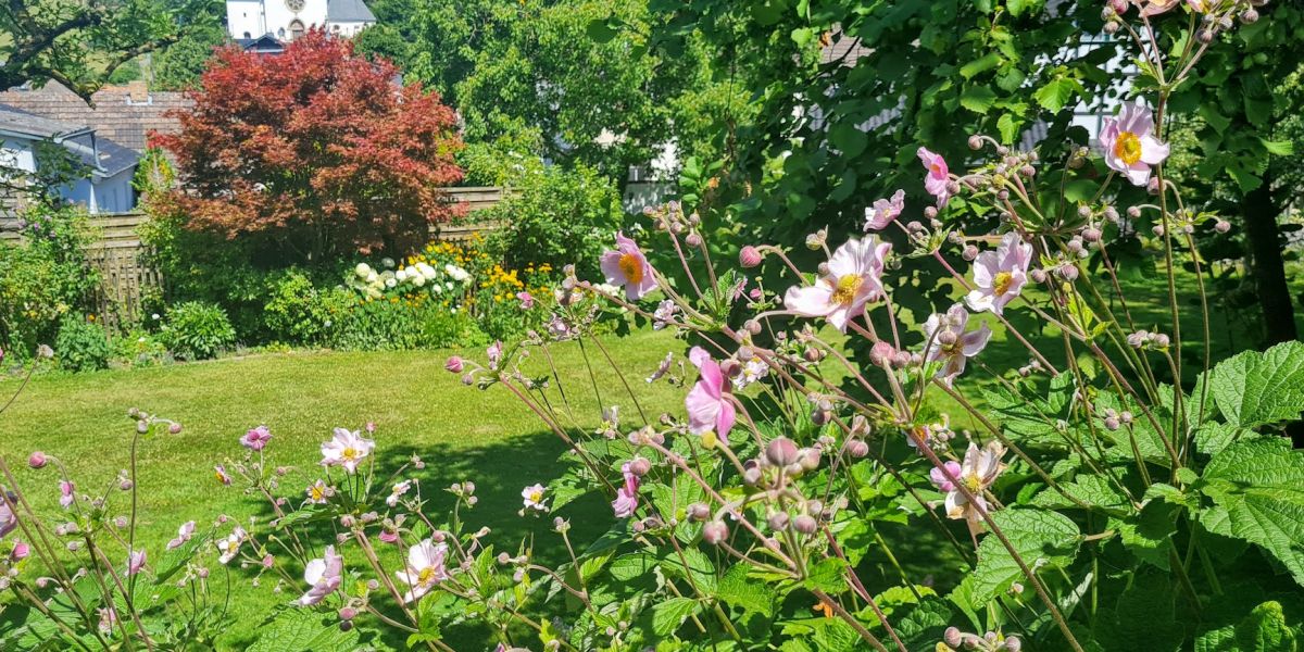 Gartengestaltung für Pflege von Gärten und Objekten privat und gewerblich